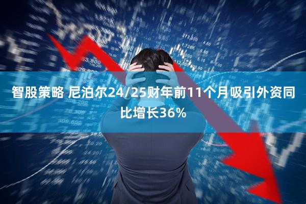 智股策略 尼泊尔24/25财年前11个月吸引外资同比增长36%