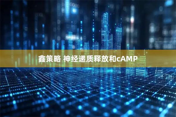 鑫策略 神经递质释放和cAMP