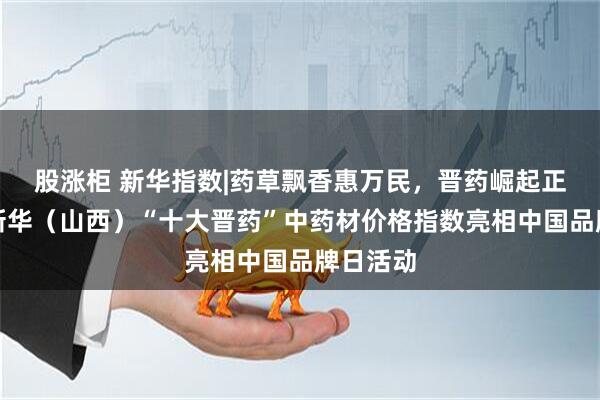 股涨柜 新华指数|药草飘香惠万民，晋药崛起正当时，新华（山西）“十大晋药”中药材价格指数亮相中国品牌日活动