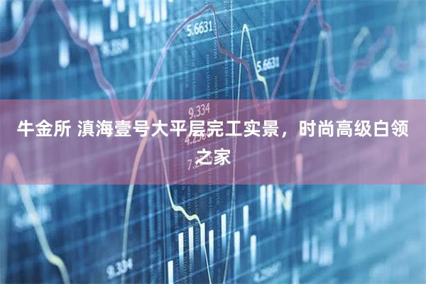 牛金所 滇海壹号大平层完工实景，时尚高级白领之家