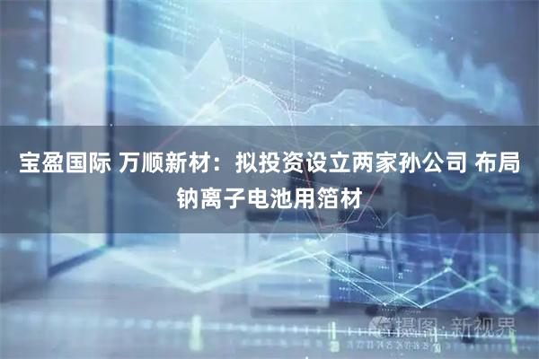 宝盈国际 万顺新材：拟投资设立两家孙公司 布局钠离子电池用箔材